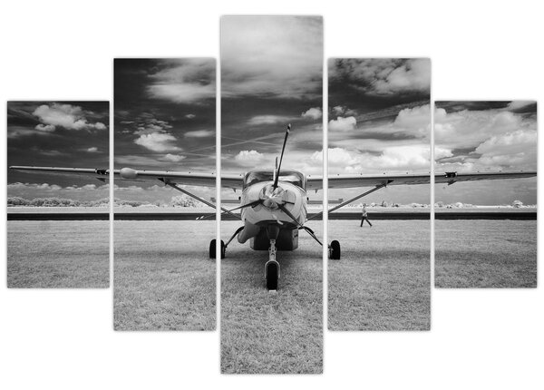 Tablou - Avion alb-negru și alb-negru (150x105 cm)
