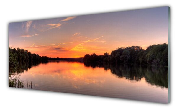 Tablou pe sticla Lake Forest Peisaj galben GreenGrey