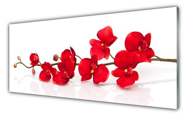 Panou sticla bucatarie Flori Floral Roșu