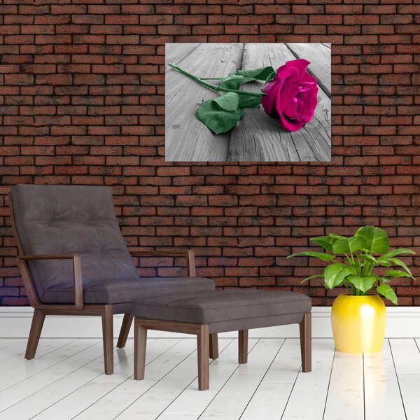 Tablou - Trandafir roz cu tulpina verde (70x50 cm)