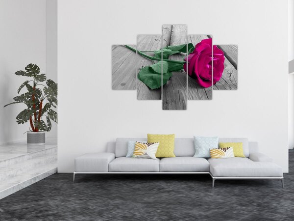 Tablou - Trandafir roz cu tulpina verde (150x105 cm)