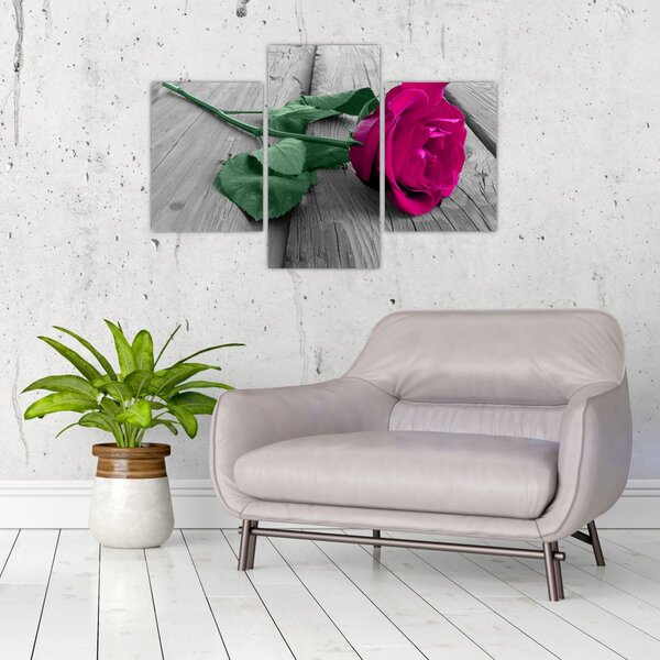 Tablou - Trandafir roz cu tulpina verde (90x60 cm)