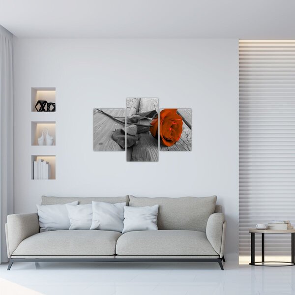 Tablou - Trandafir portocaliu (90x60 cm)