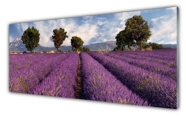Tablou pe sticla Meadow Copaci Natura Roz Verde