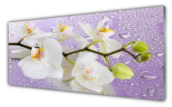 Tablou pe sticla Flori Floral alb