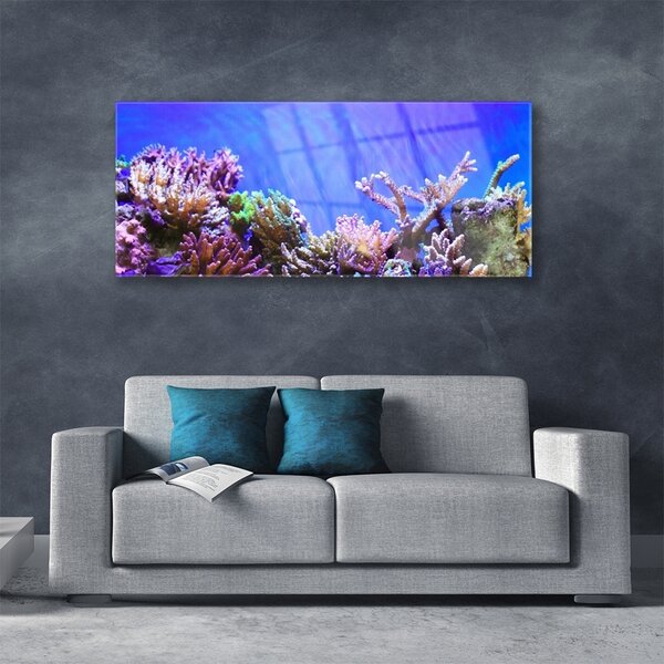 Tablou pe sticla Coral Reef Natura Multi