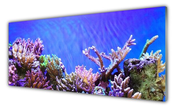 Tablou pe sticla Coral Reef Natura Multi