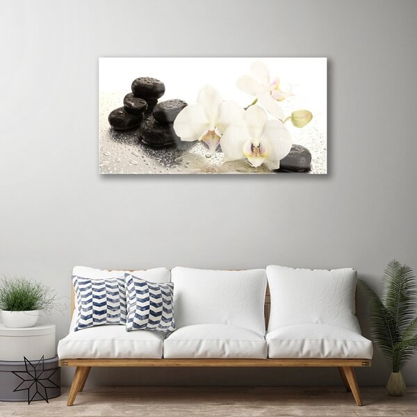 Tablou pe sticla Pietre florale flori alb negru