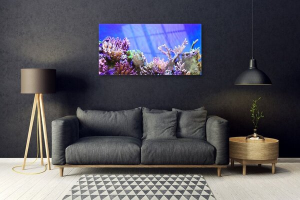 Tablou pe sticla Coral Reef Natura Multi