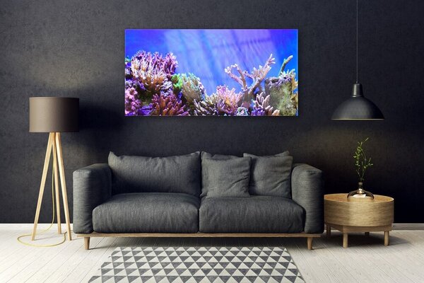 Tablou pe sticla Coral Reef Natura Multi