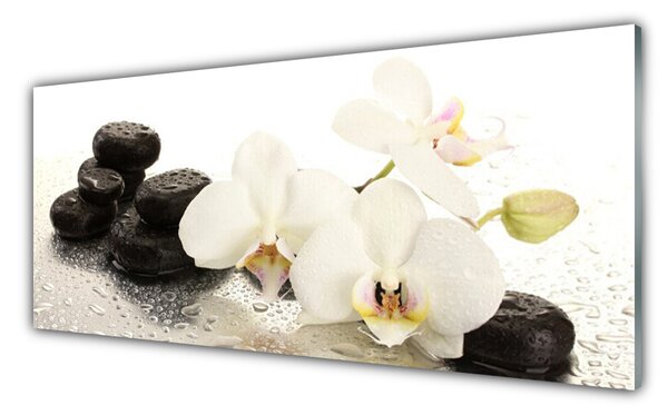 Tablou pe sticla Pietre florale flori alb negru