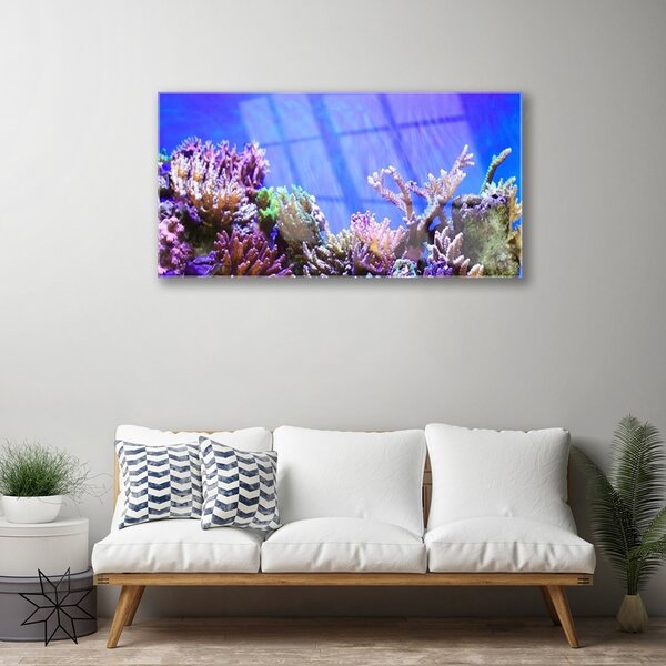 Tablou pe sticla Coral Reef Natura Multi