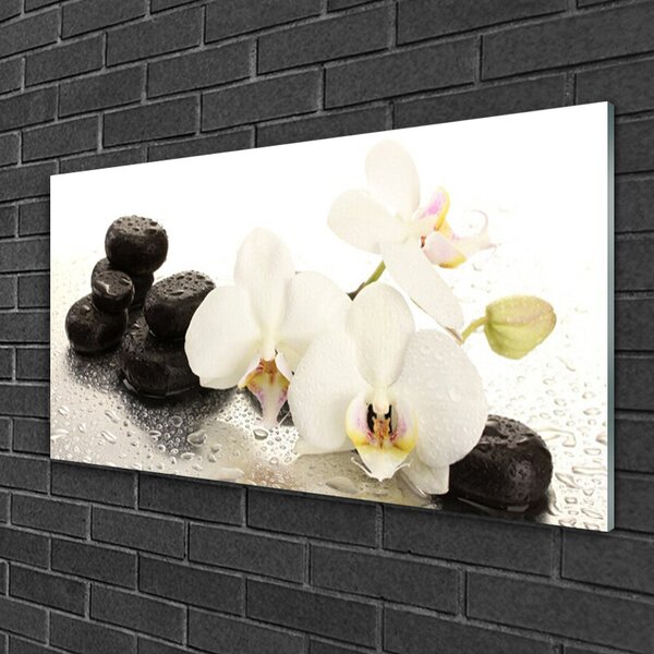 Tablou pe sticla Pietre florale flori alb negru