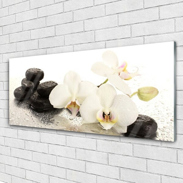 Tablou pe sticla Pietre florale flori alb negru
