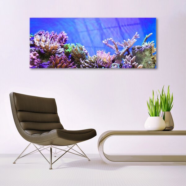 Tablou pe sticla Coral Reef Natura Multi
