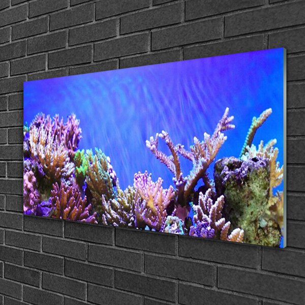 Tablou pe sticla Coral Reef Natura Multi