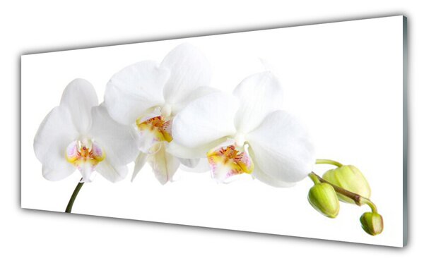 Tablou pe sticla Flori Floral alb