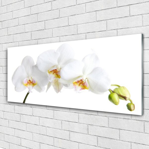 Tablou pe sticla Flori Floral alb