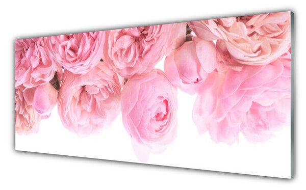 Tablou pe sticla Trandafiri roz Floral