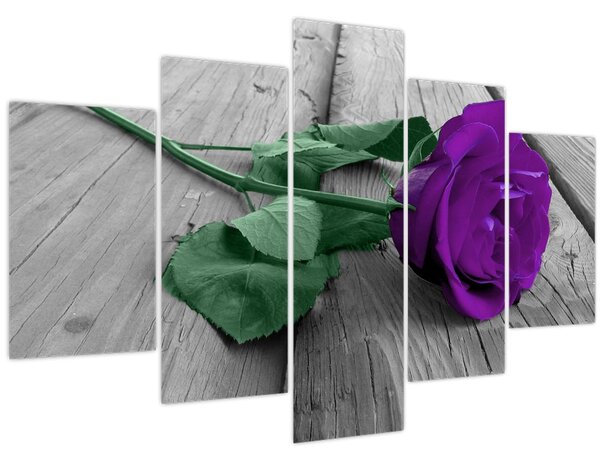 Tablou - Trandafir violet cu tulpina verde (150x105 cm)
