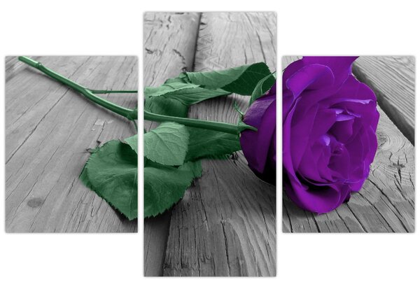 Tablou - Trandafir violet cu tulpina verde (90x60 cm)