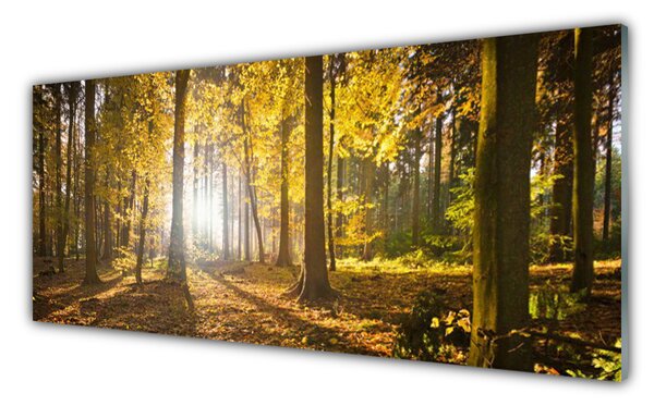 Tablouri acrilice Natural Pădurea Verde Maro