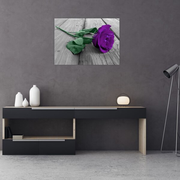 Tablou - Trandafir violet cu tulpina verde (70x50 cm)