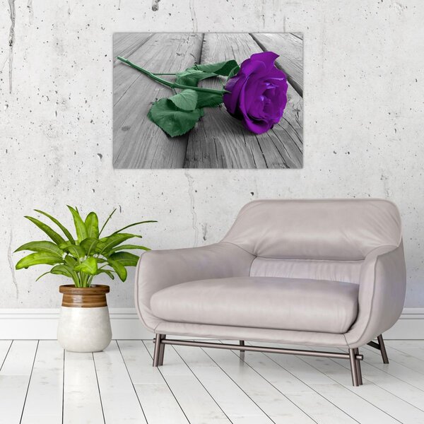 Tablou - Trandafir violet cu tulpina verde (70x50 cm)