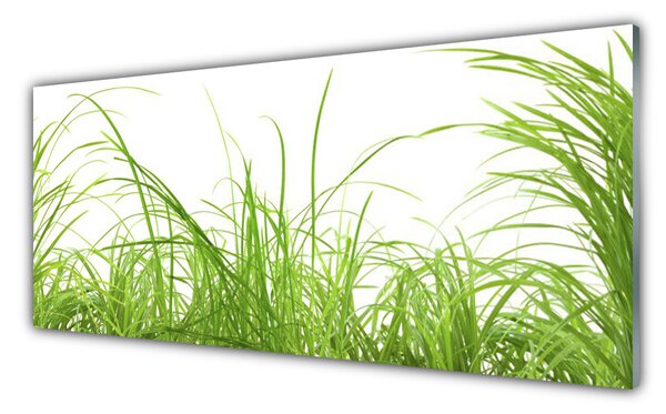 Tablou pe sticla Iarbă Natura verde