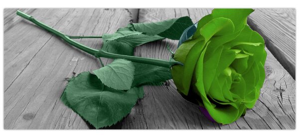 Tablou - Trandafir verde (120x50 cm)
