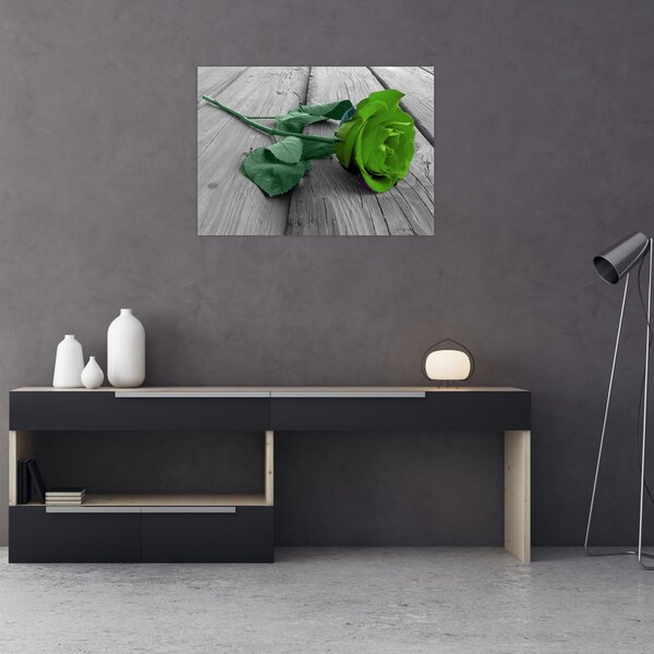 Tablou - Trandafir verde (70x50 cm)