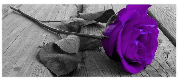 Tablou - Trandafir violet cu tulpina verde (120x50 cm)