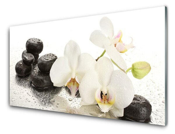 Panou sticla bucatarie Pietre florale flori alb negru