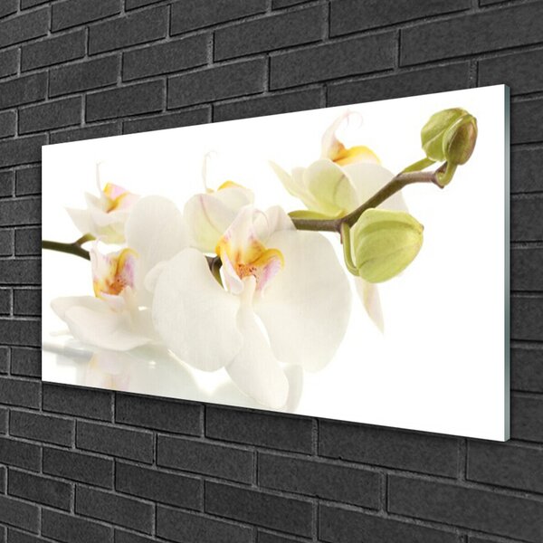 Tablou pe sticla Flori Floral alb