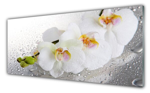 Tablou pe sticla Flori Floral alb