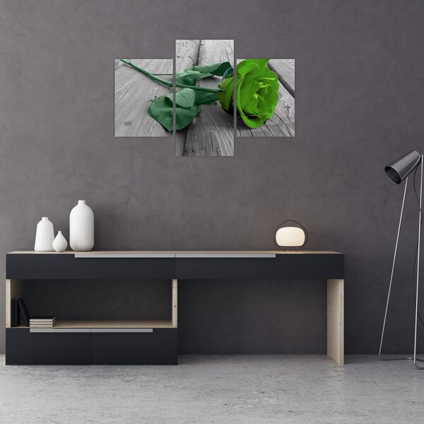 Tablou - Trandafir verde (90x60 cm)