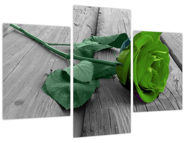 Tablou - Trandafir verde (90x60 cm)