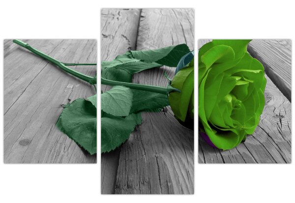 Tablou - Trandafir verde (90x60 cm)
