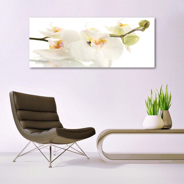Tablou pe sticla Flori Floral alb