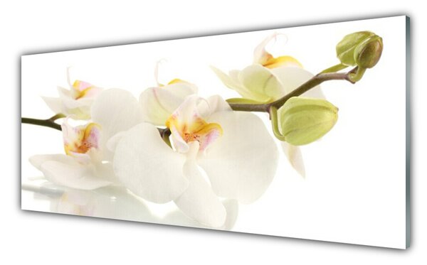 Tablou pe sticla Flori Floral alb