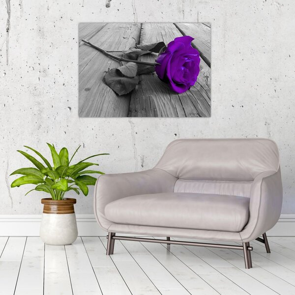 Tablou - Trandafir violet cu tulpina verde (70x50 cm)