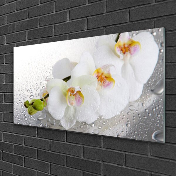 Tablou pe sticla Flori Floral alb