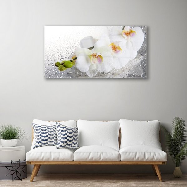 Tablou pe sticla Flori Floral alb