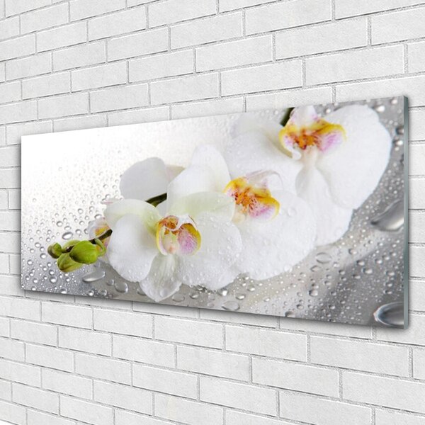 Tablou pe sticla Flori Floral alb