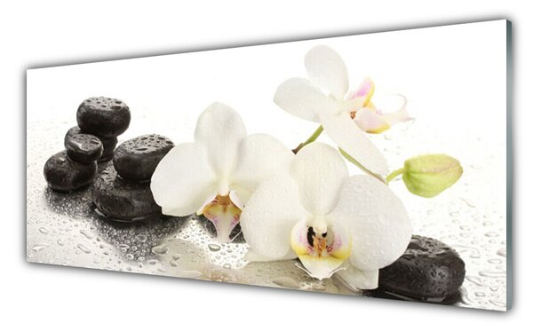 Panou sticla bucatarie Pietre florale flori alb negru