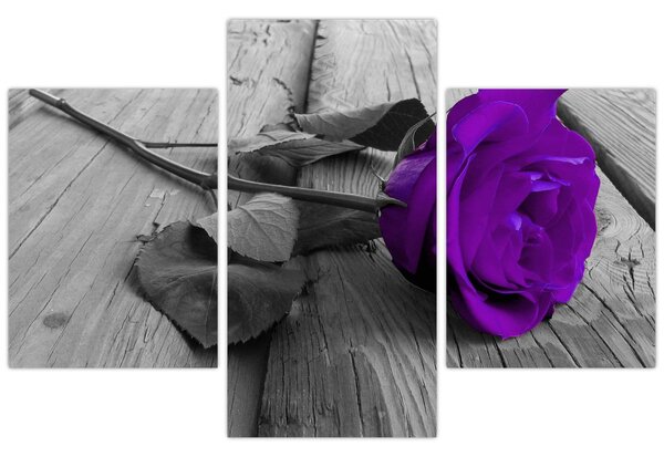 Tablou - Trandafir violet cu tulpina verde (90x60 cm)