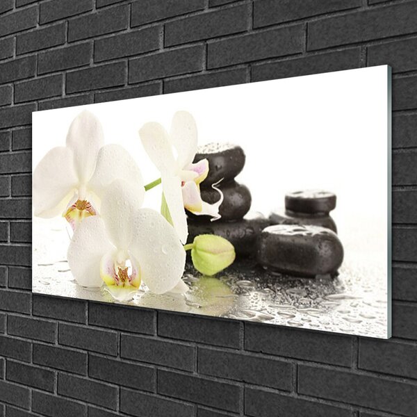 Tablou pe sticla Pietre florale flori alb negru