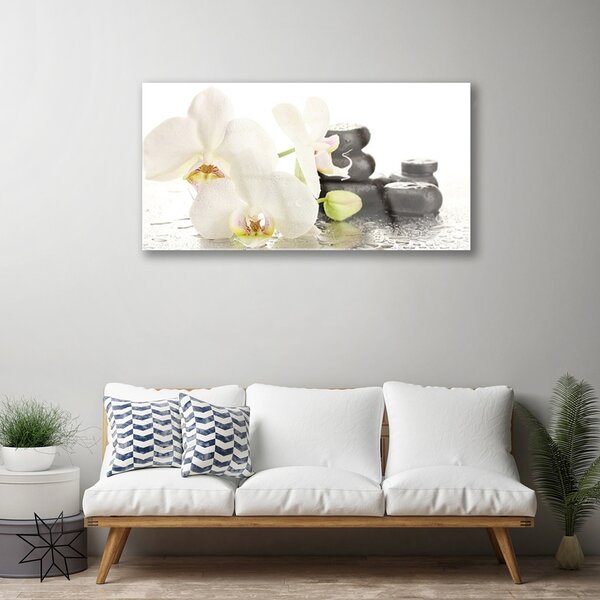Tablou pe sticla Pietre florale flori alb negru