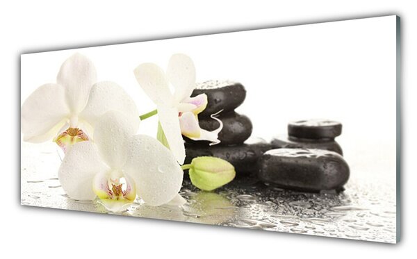 Tablou pe sticla Pietre florale flori alb negru