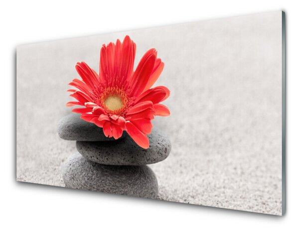 Panou sticla bucatarie Pietrele de flori Arta Orange Gray